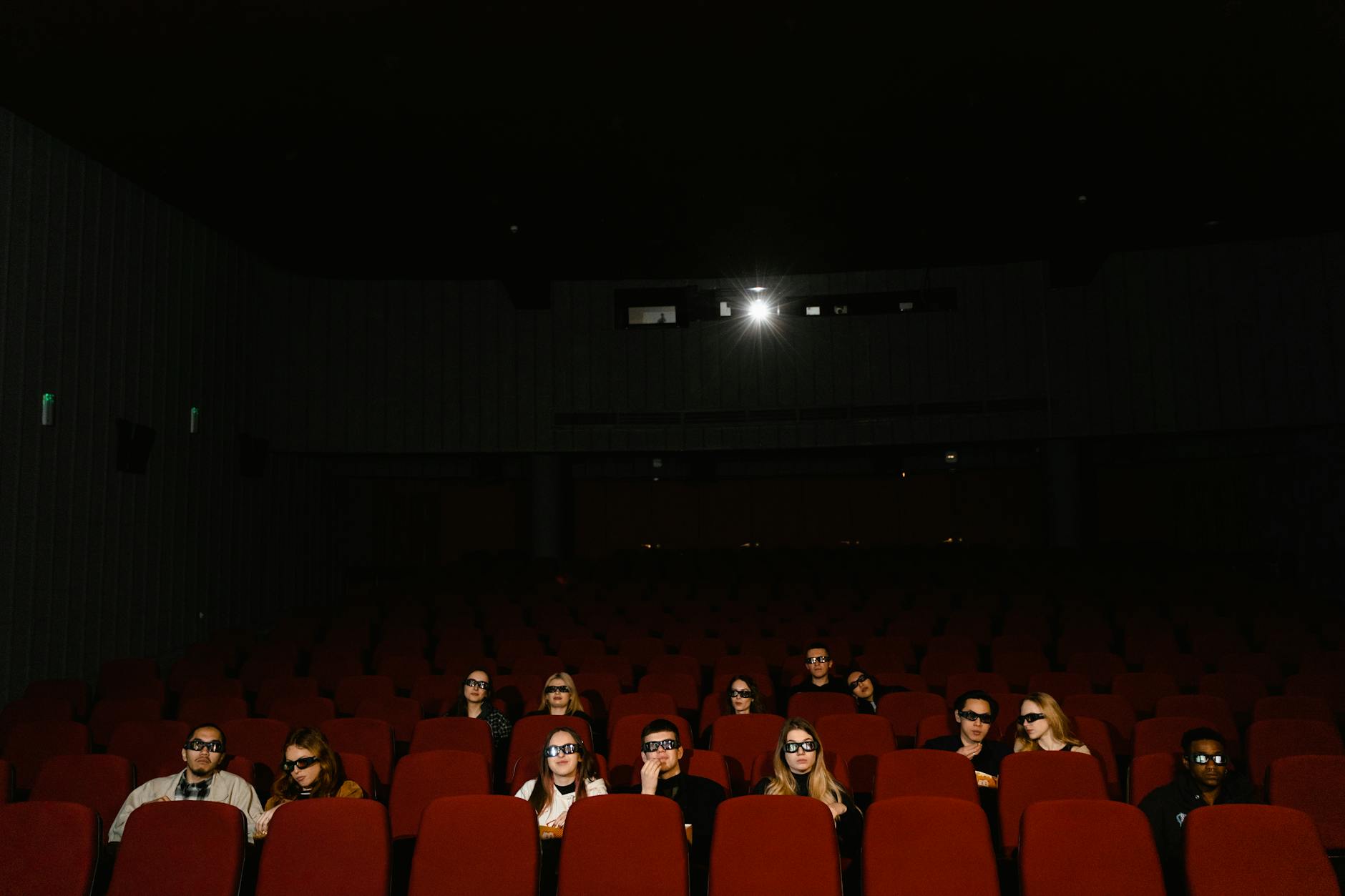 Audience at a film festival screening