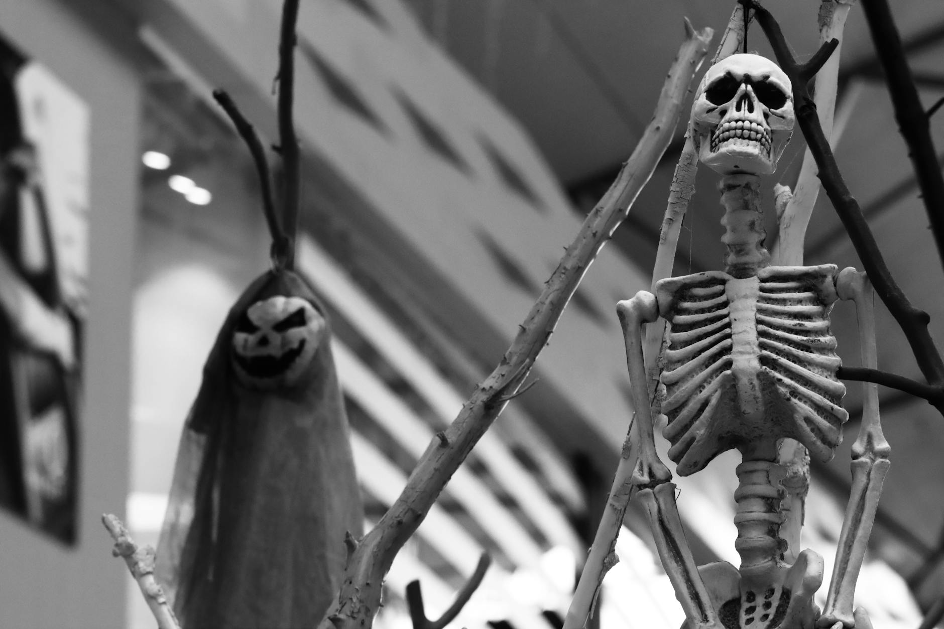 Gothic Halloween decorations and atmosphere