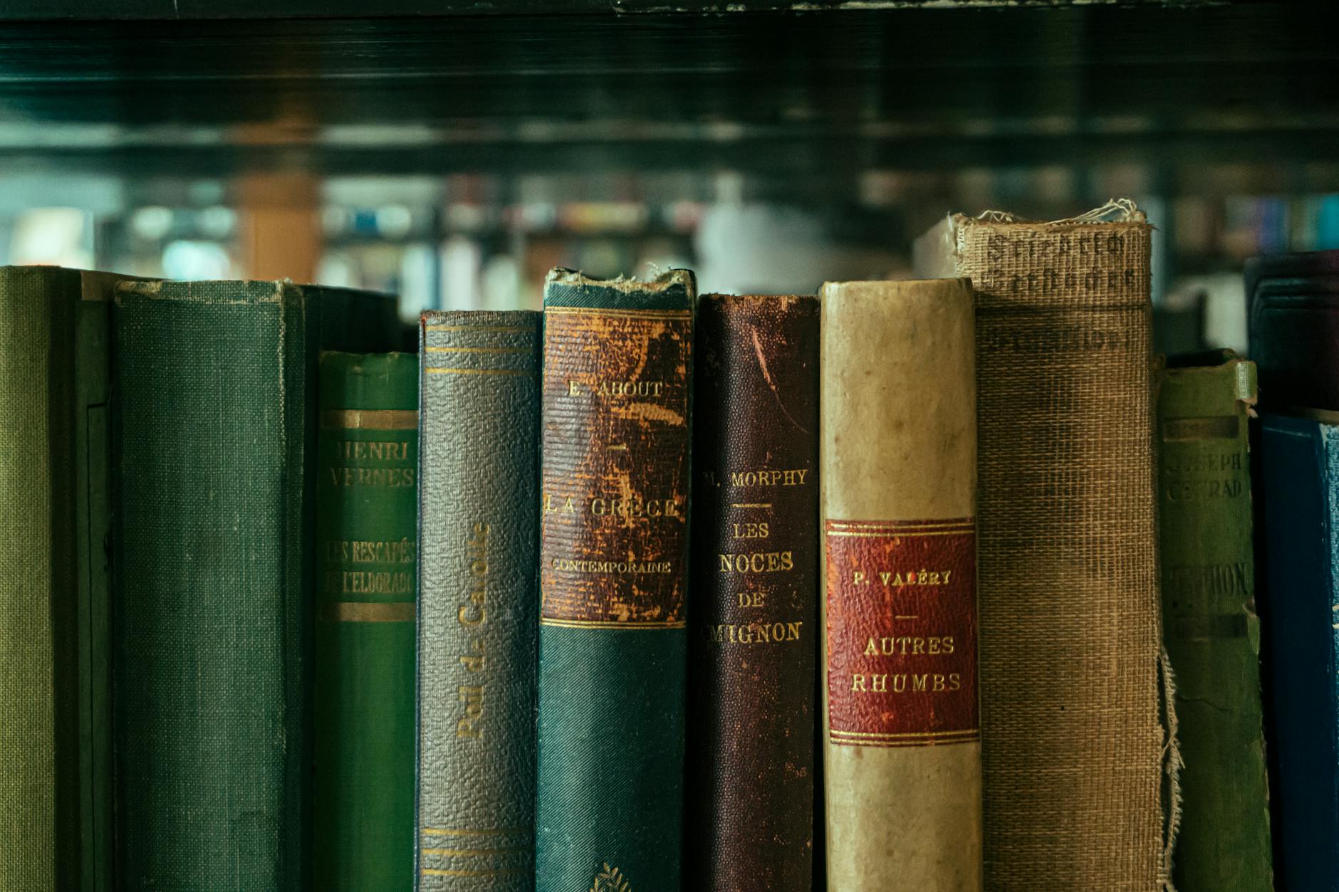 Vintage books celebrating Dublin's rich literary heritage