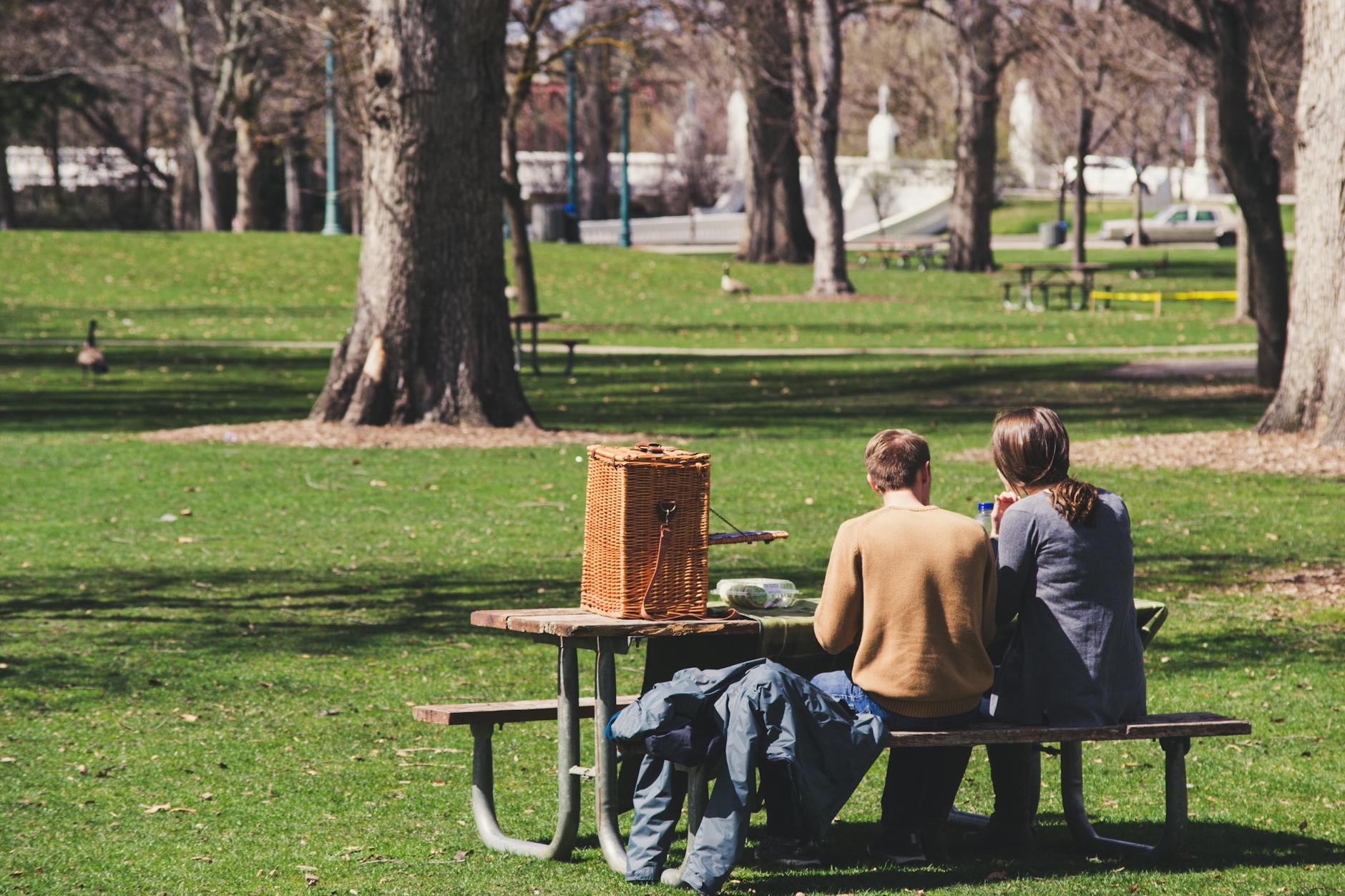 Picnic in a Dublin park