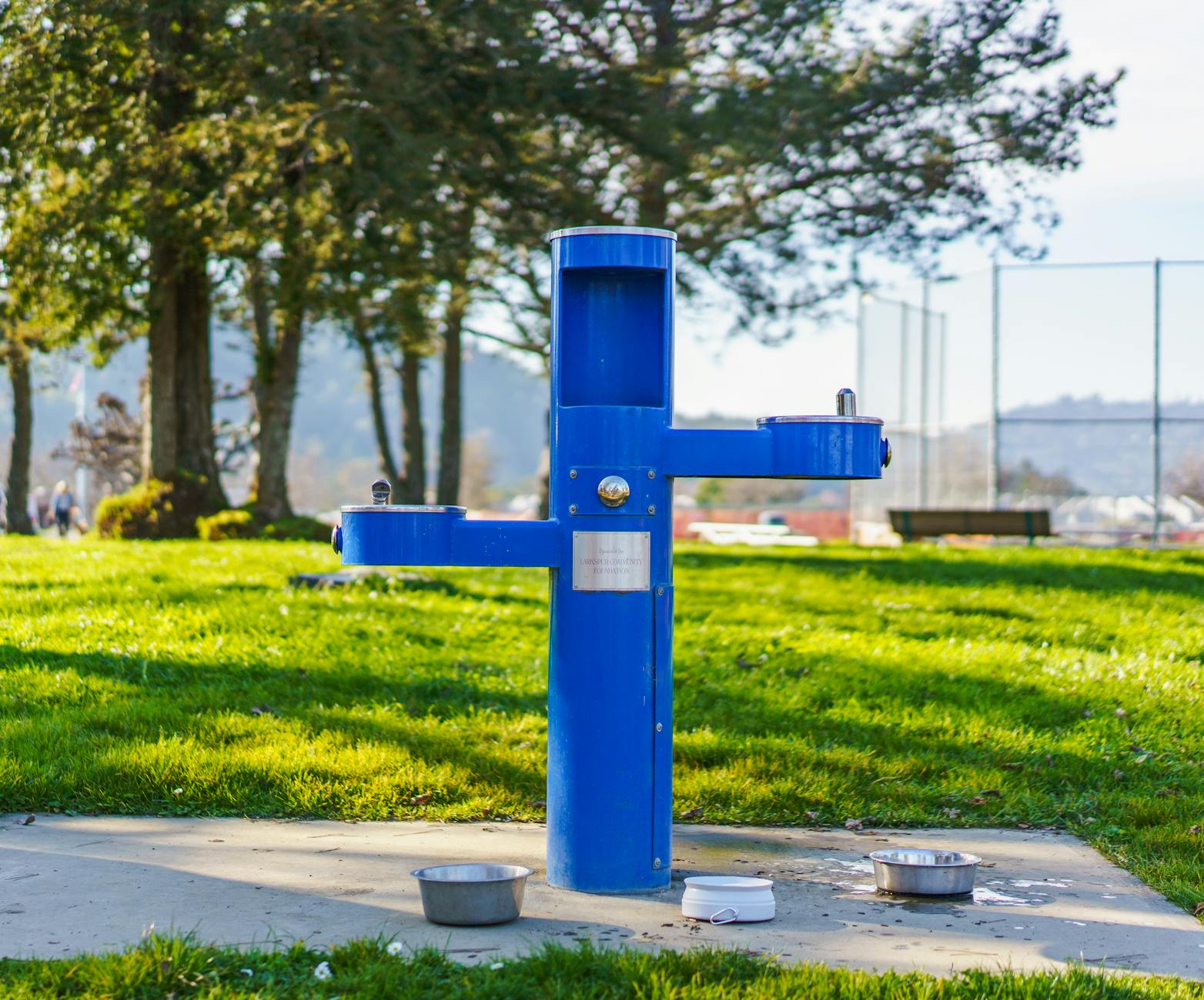Refilling water bottle at fountain