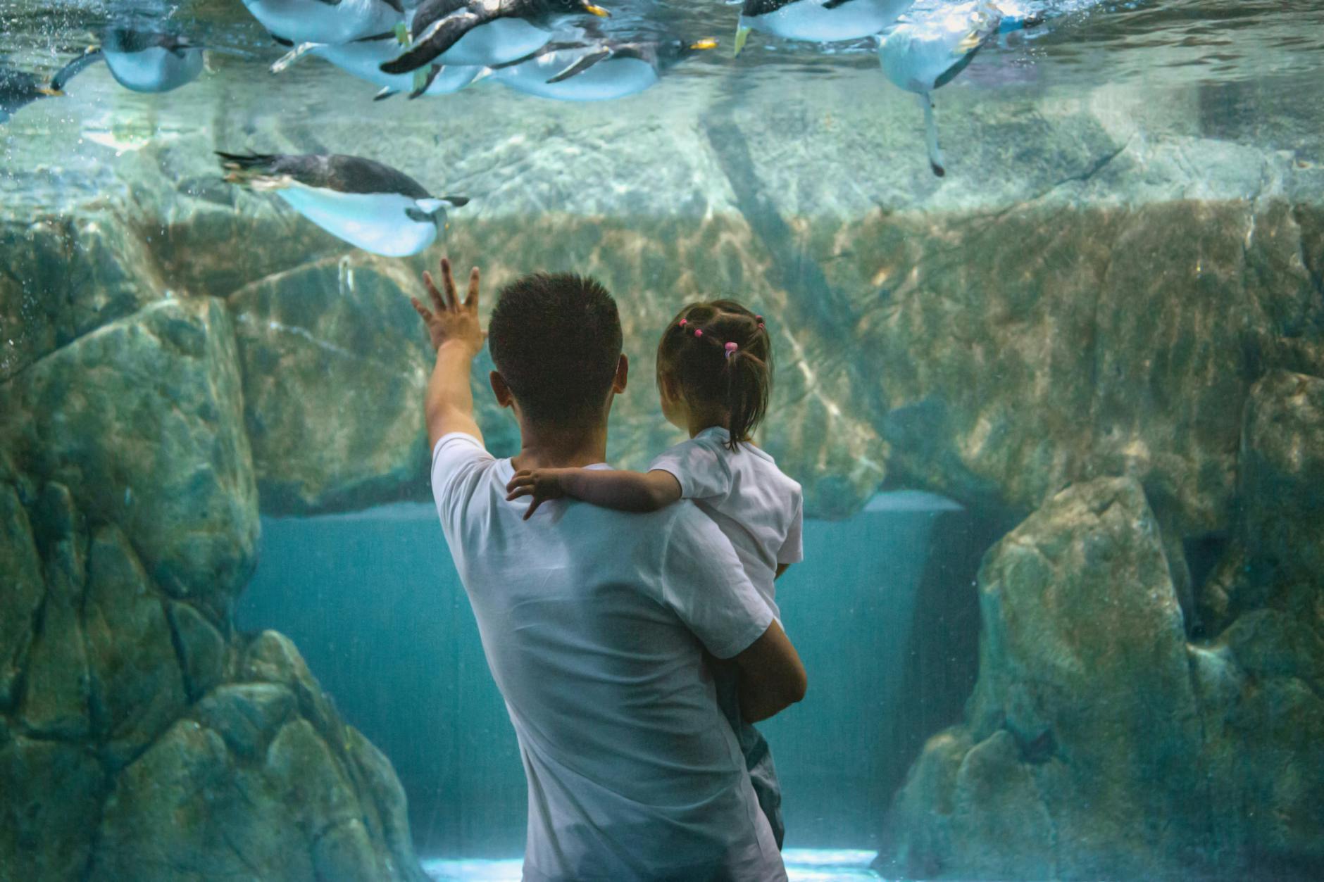 Dublin Zoo family visit