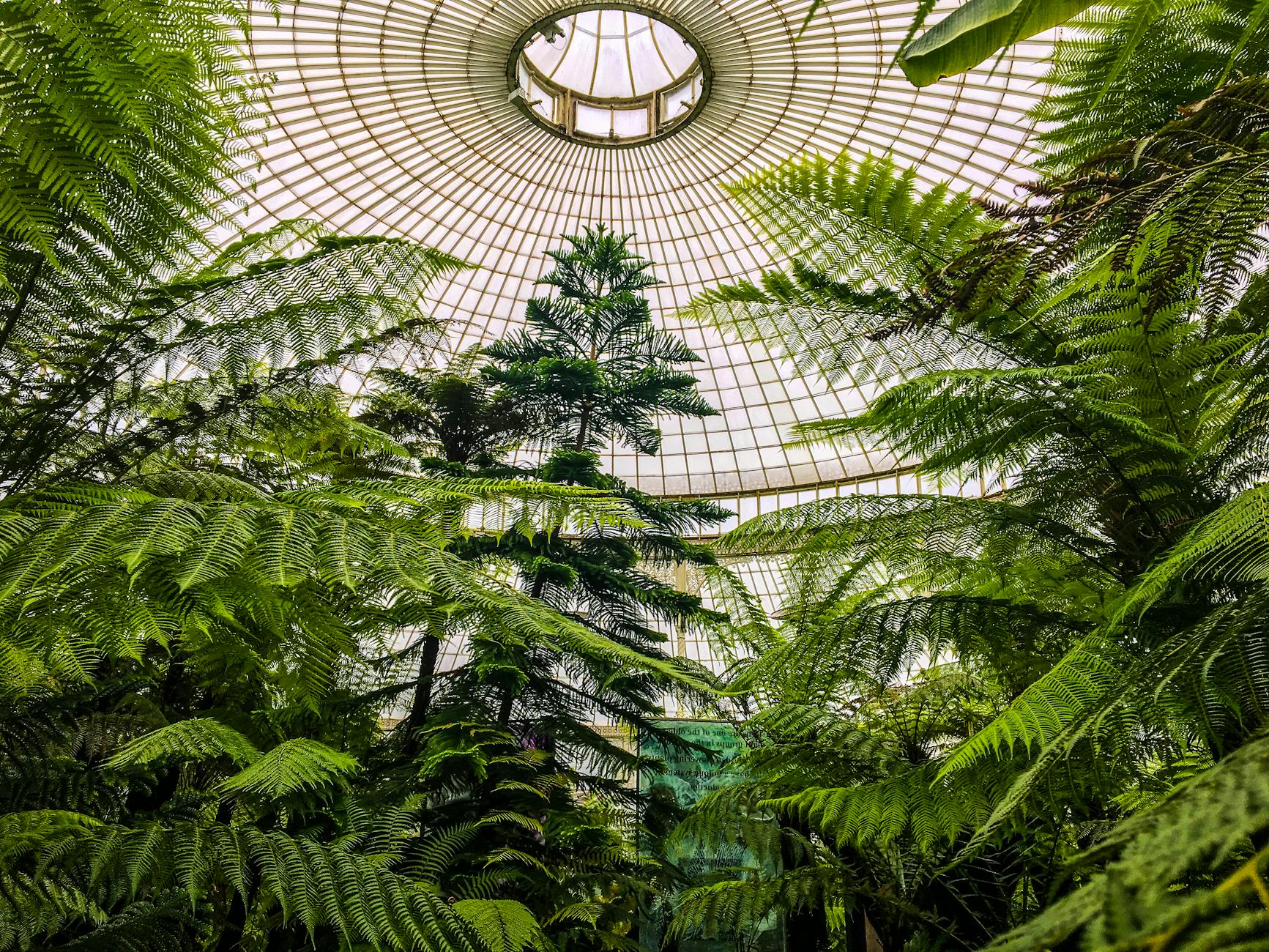 National Botanic Gardens Glasnevin