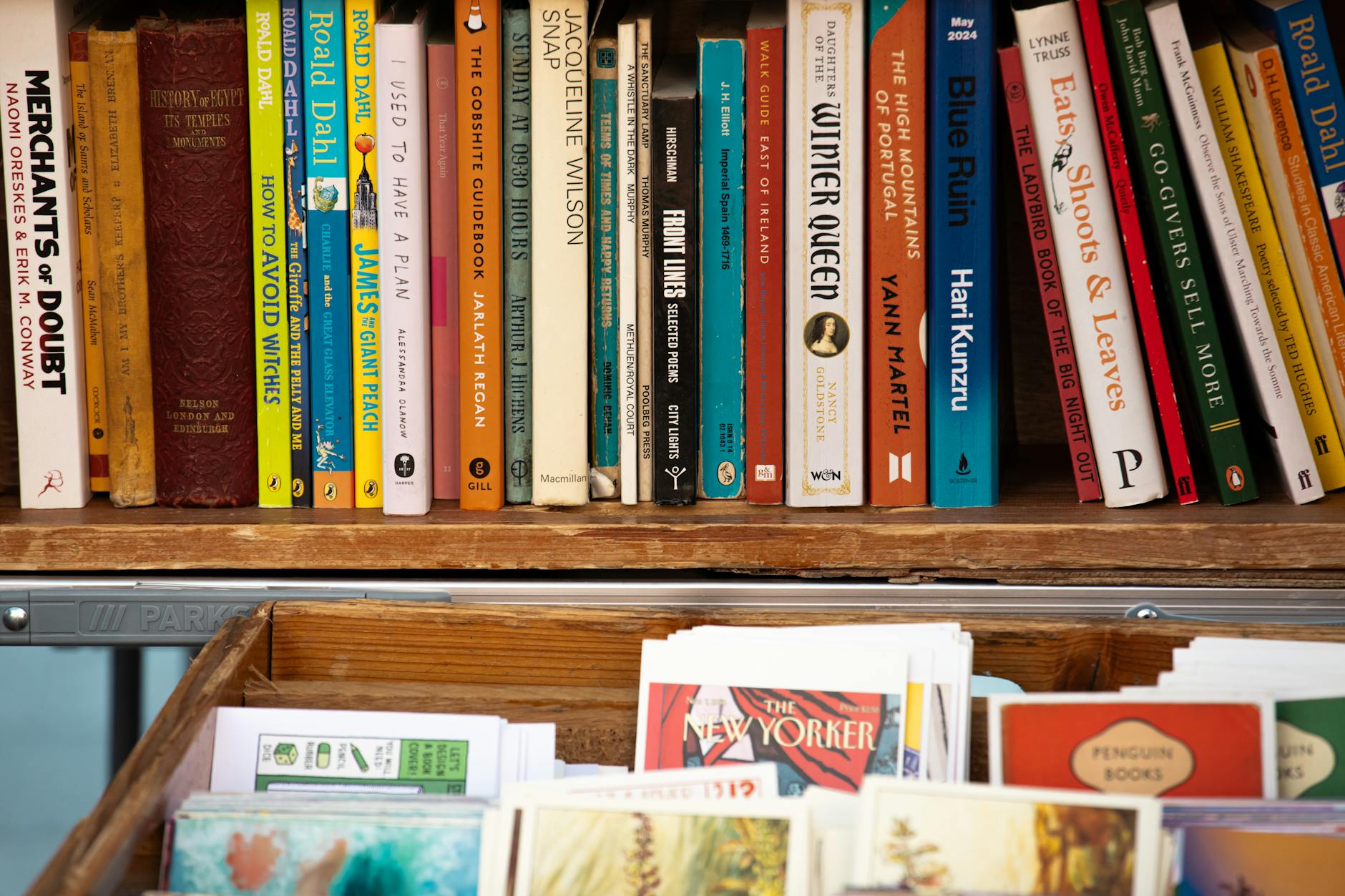 Irish books souvenirs Dublin