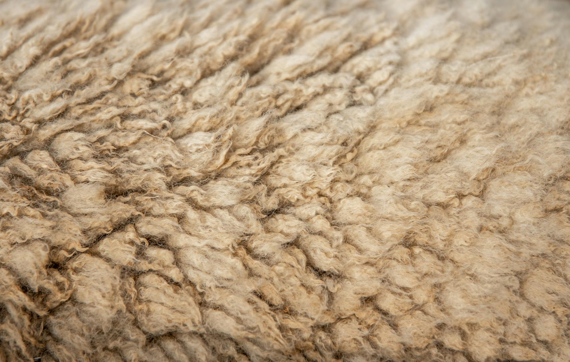 Irish wool textile design