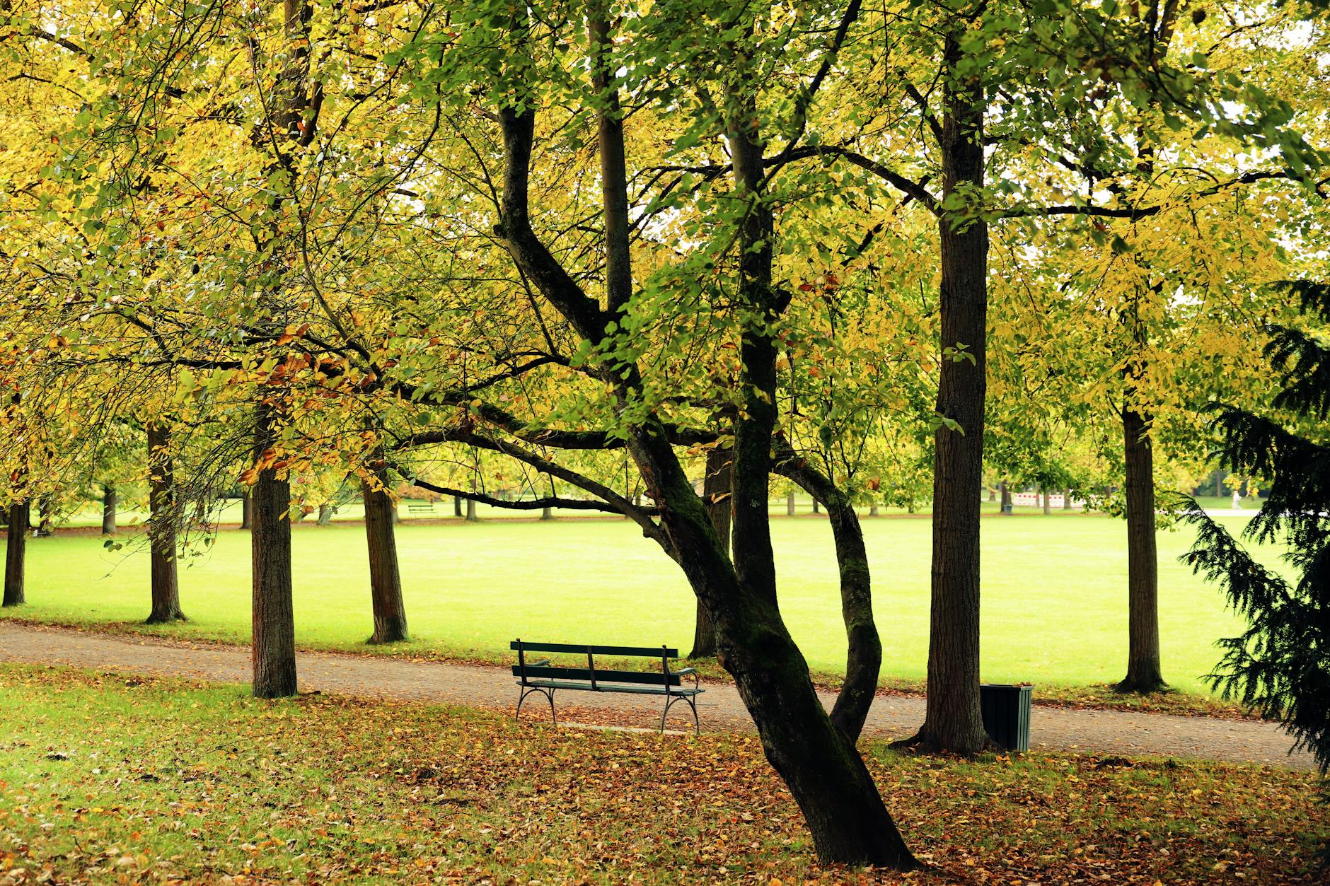 Autumn in Dublin - colour and quieter crowds