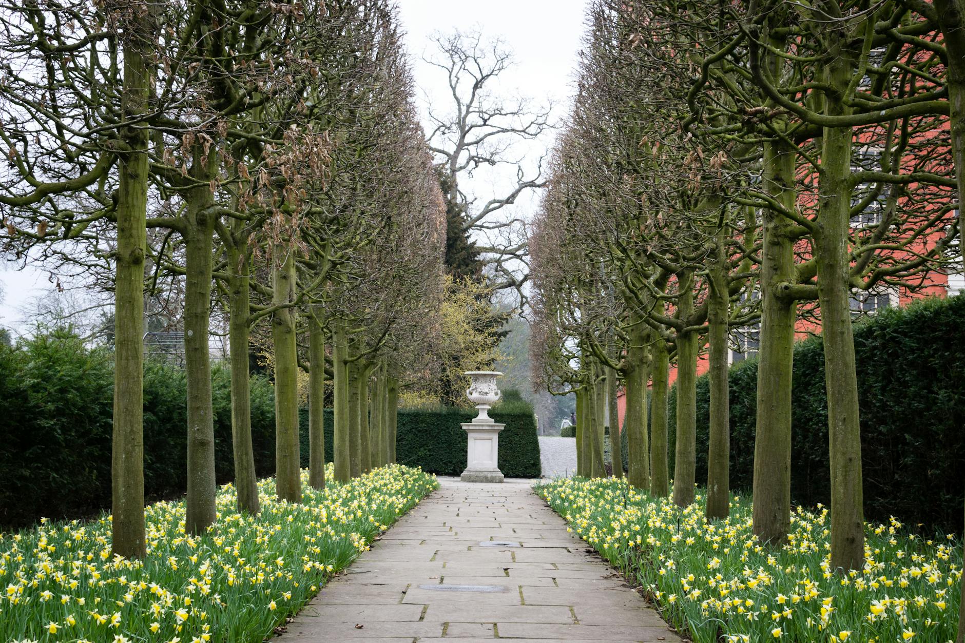The Dubh Linn Garden behind Dublin Castle