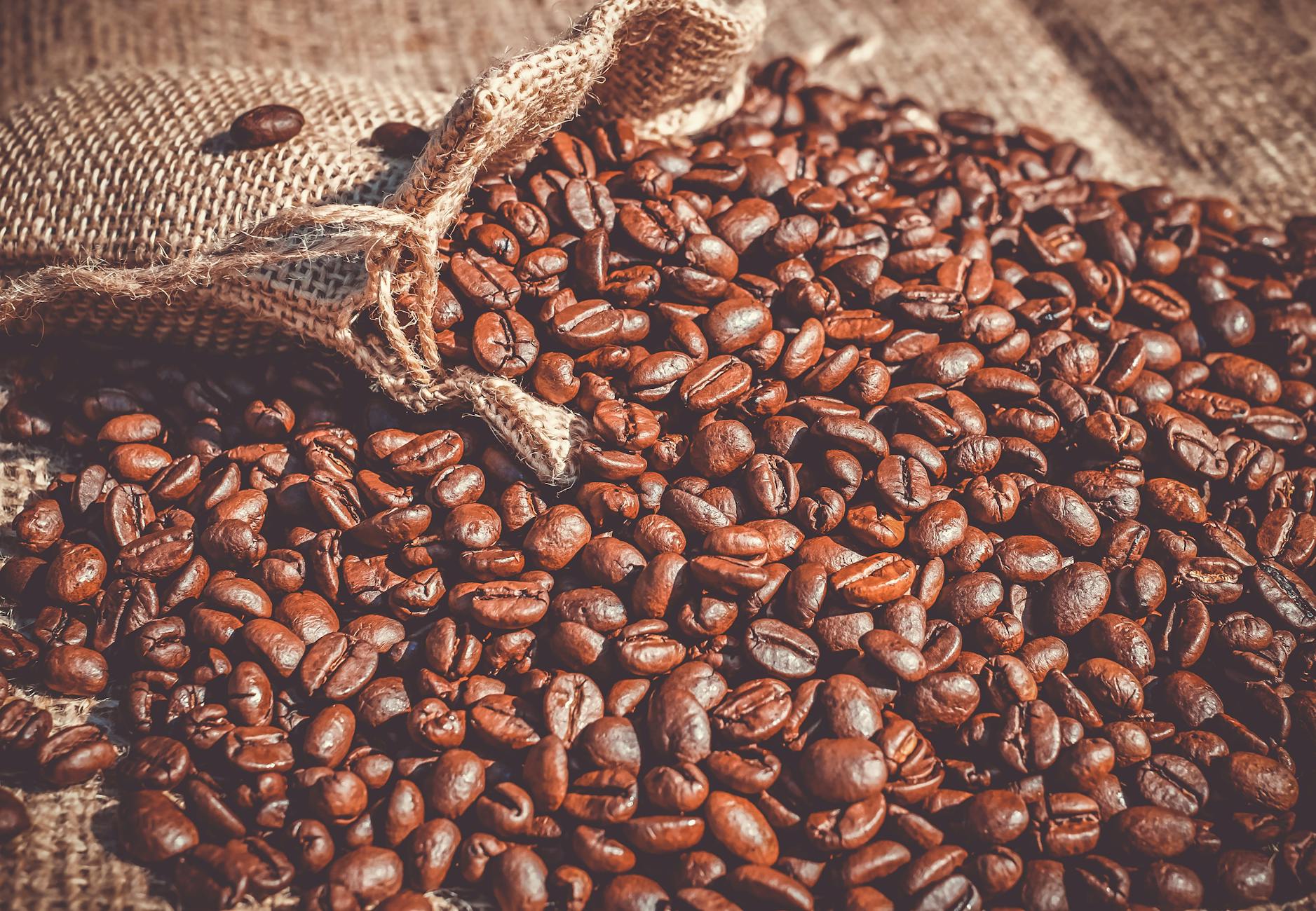 Dublin's specialty cafes use local roasters like 3FE and Cloud Picker