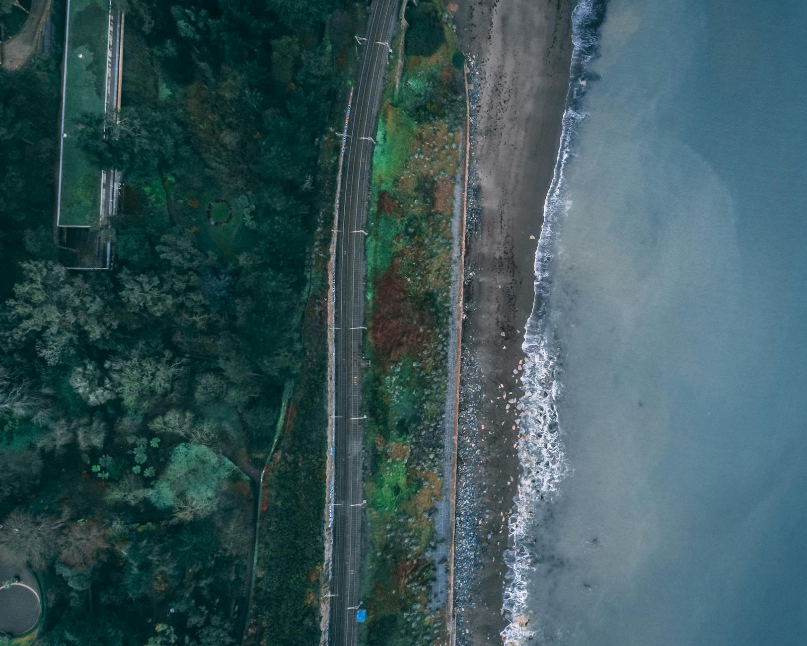 Take the DART along the coast for a half-day adventure