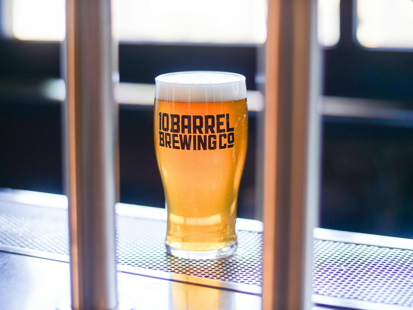 Dublin craft beer festivals