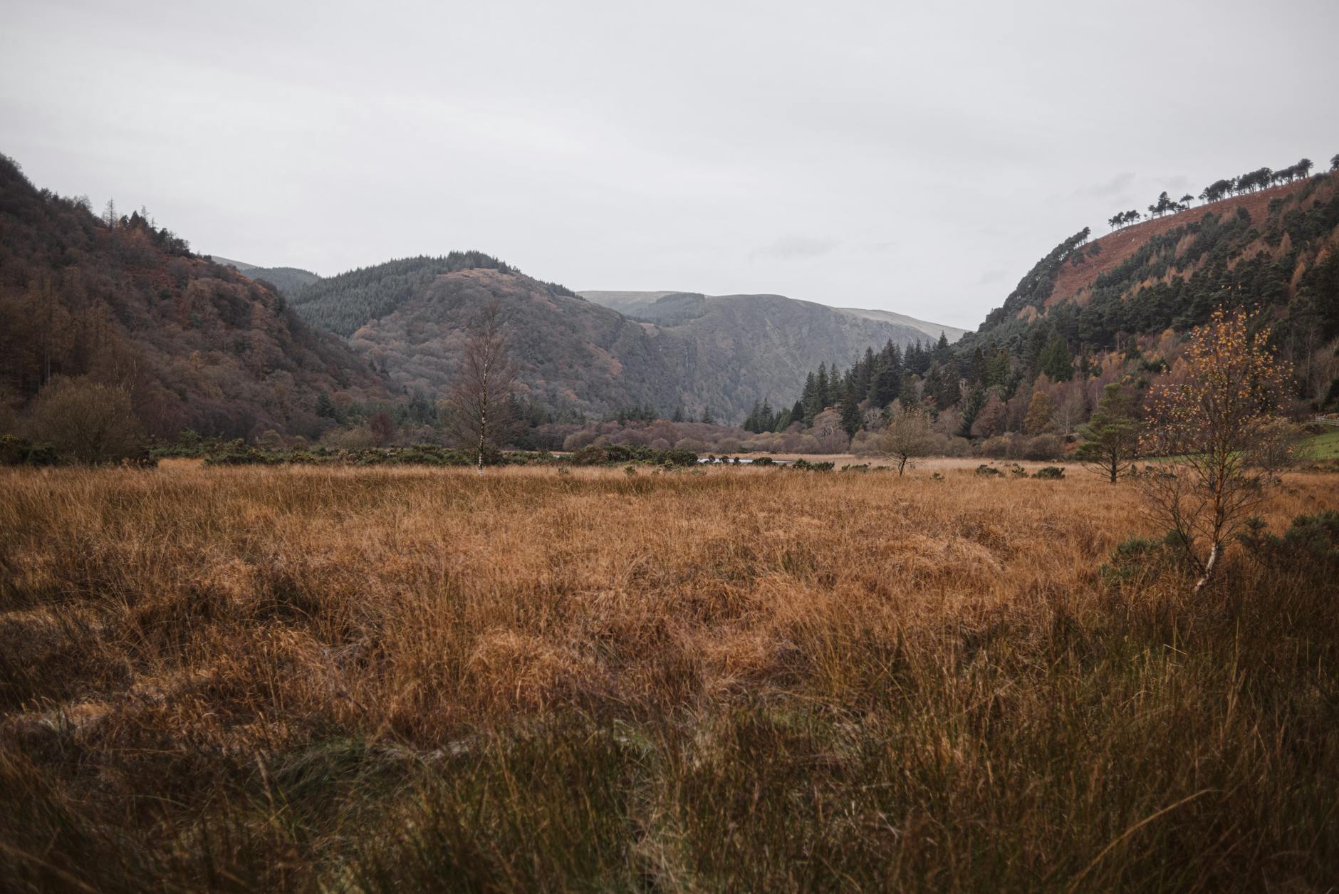 Glendalough day trip from Dublin - the complete guide