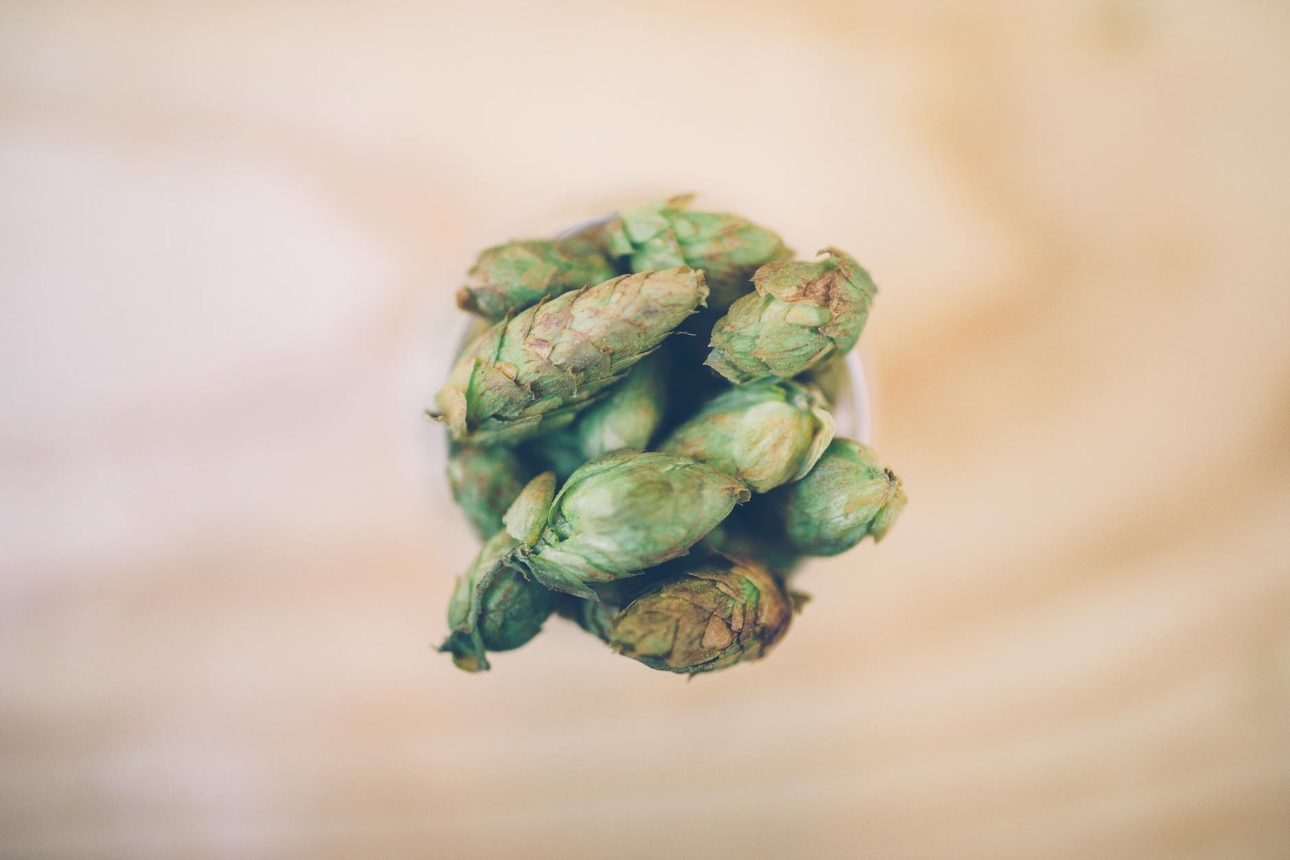 Hops and barley are central to the Guinness Storehouse Ingredients floor
