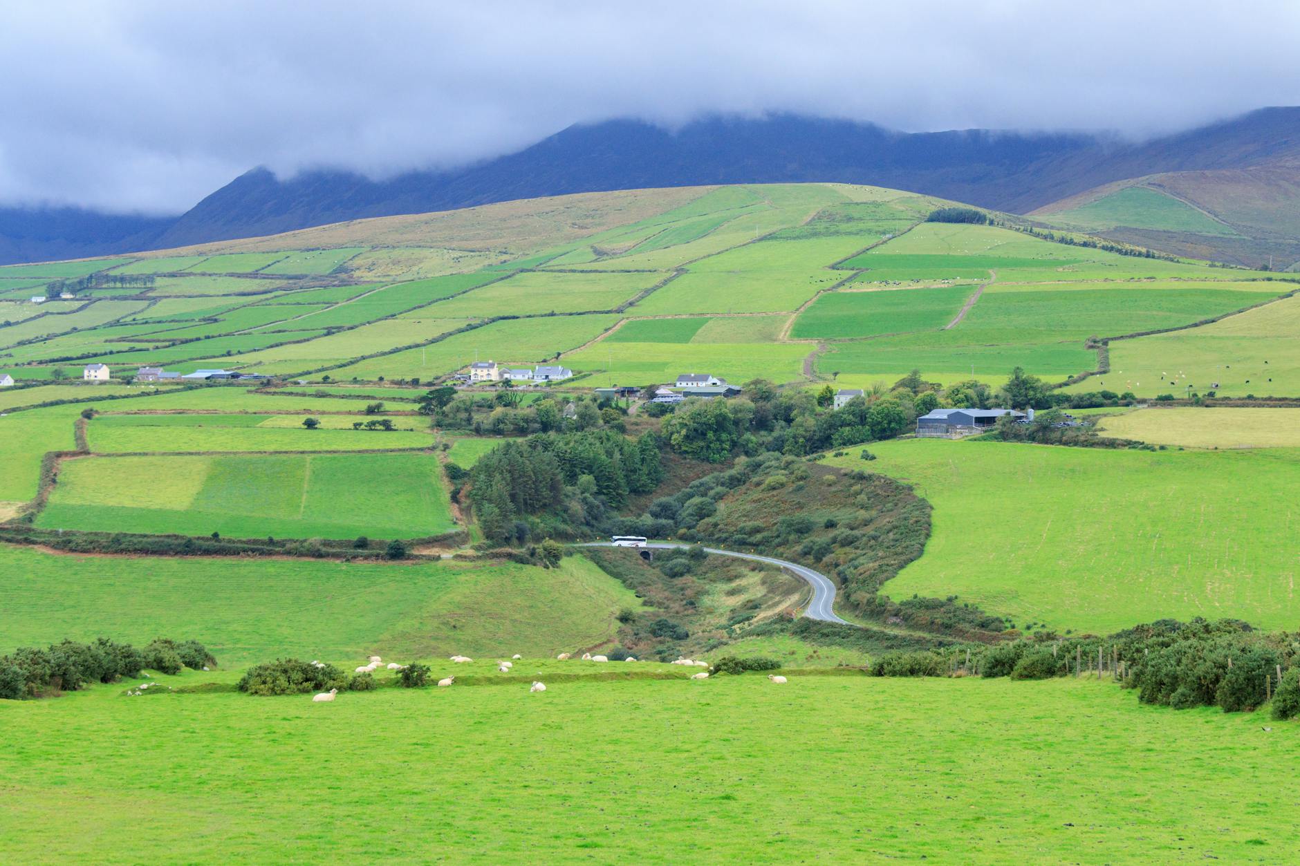 Ring of Kerry - the scenic loop