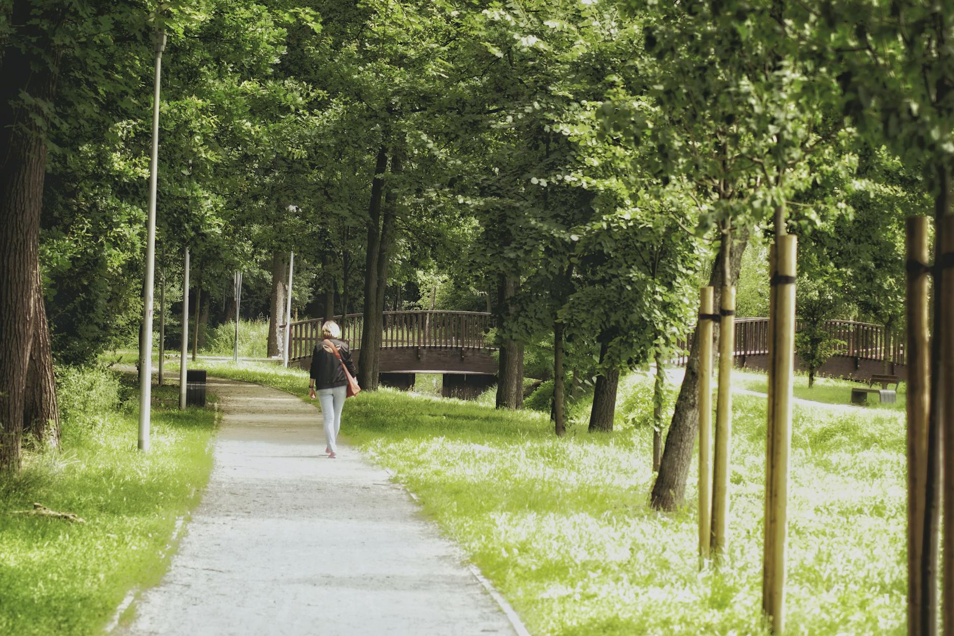 Summer walking in Dublin parks