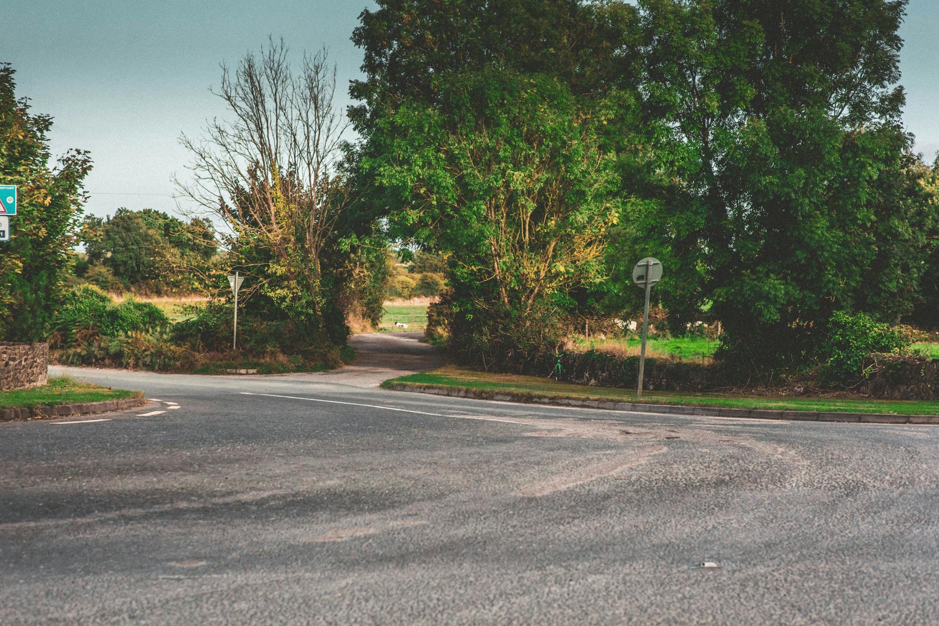 Irish phrases and the local language