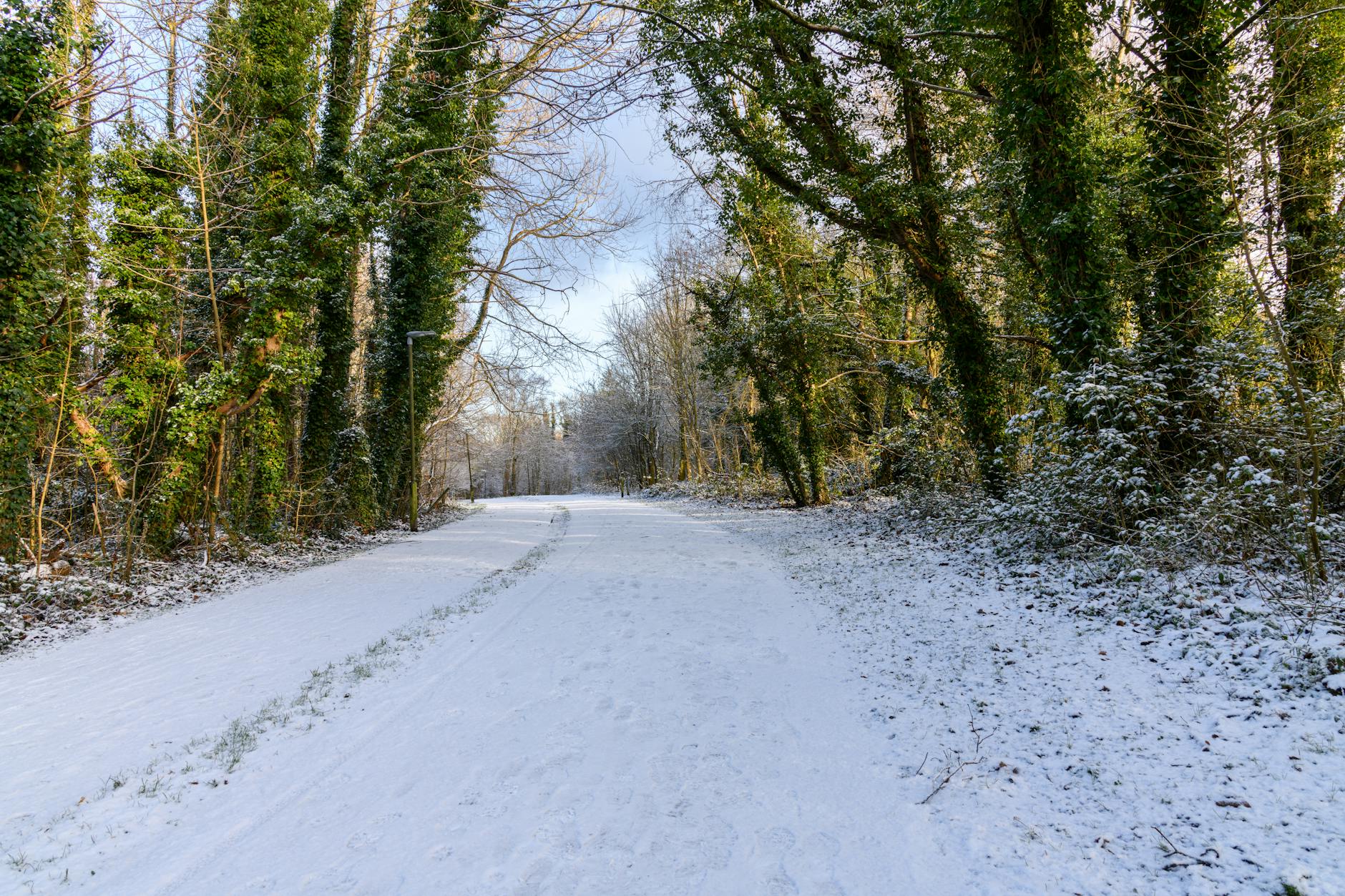 Snowfall in Dublin - rare but magical