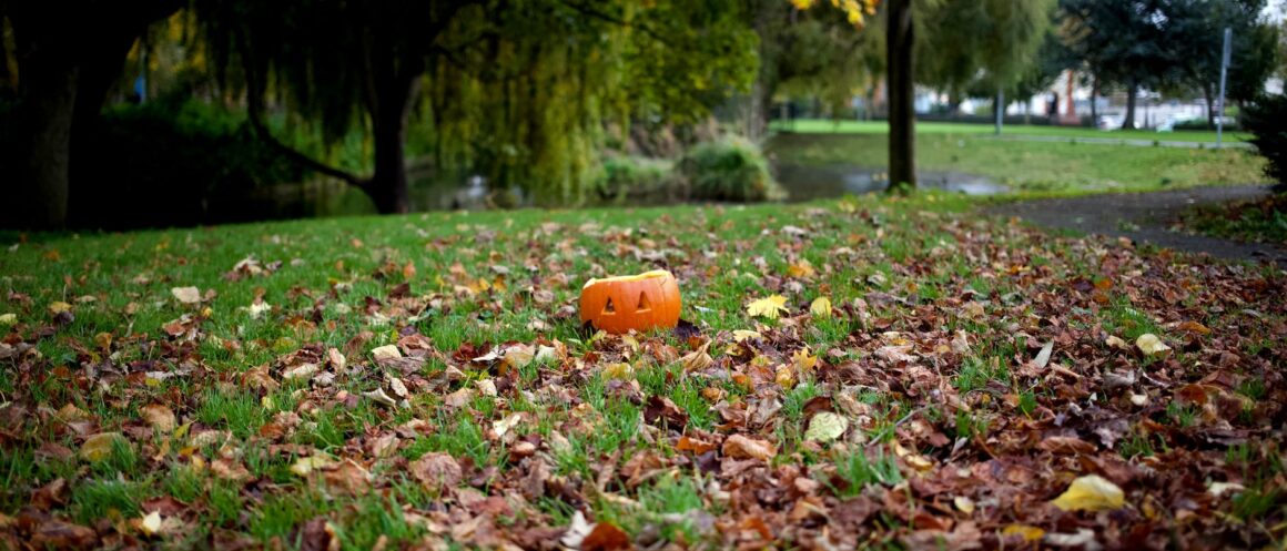 A small carved Halloween pumpkin on fallen autumn leaves in a Dublin park