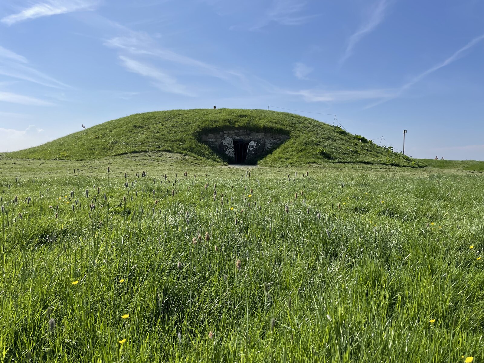 The grassy Mound of the Hostages at the Hill of Tara, with its stone entrance facing a wildflower meadow.