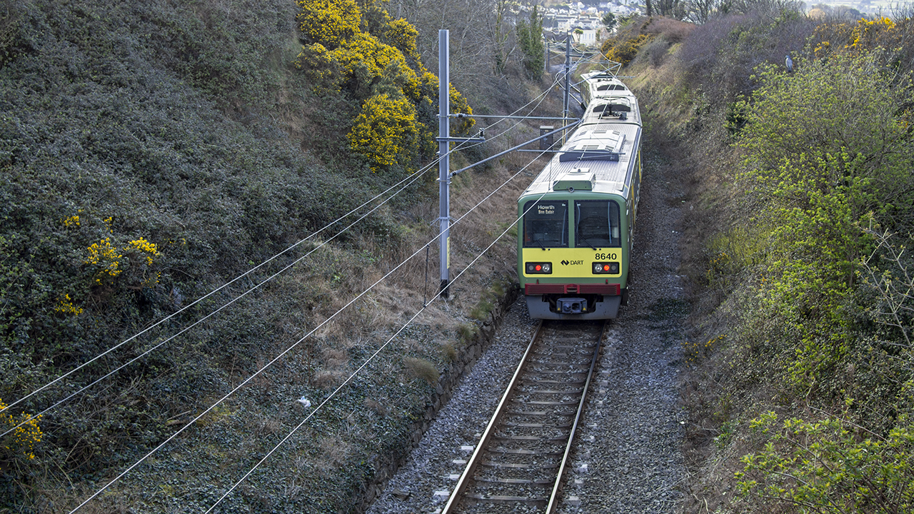A green and yellow DART train follows electrified tracks through a leafy railway cutting in Bray, with yellow gorse nearby.