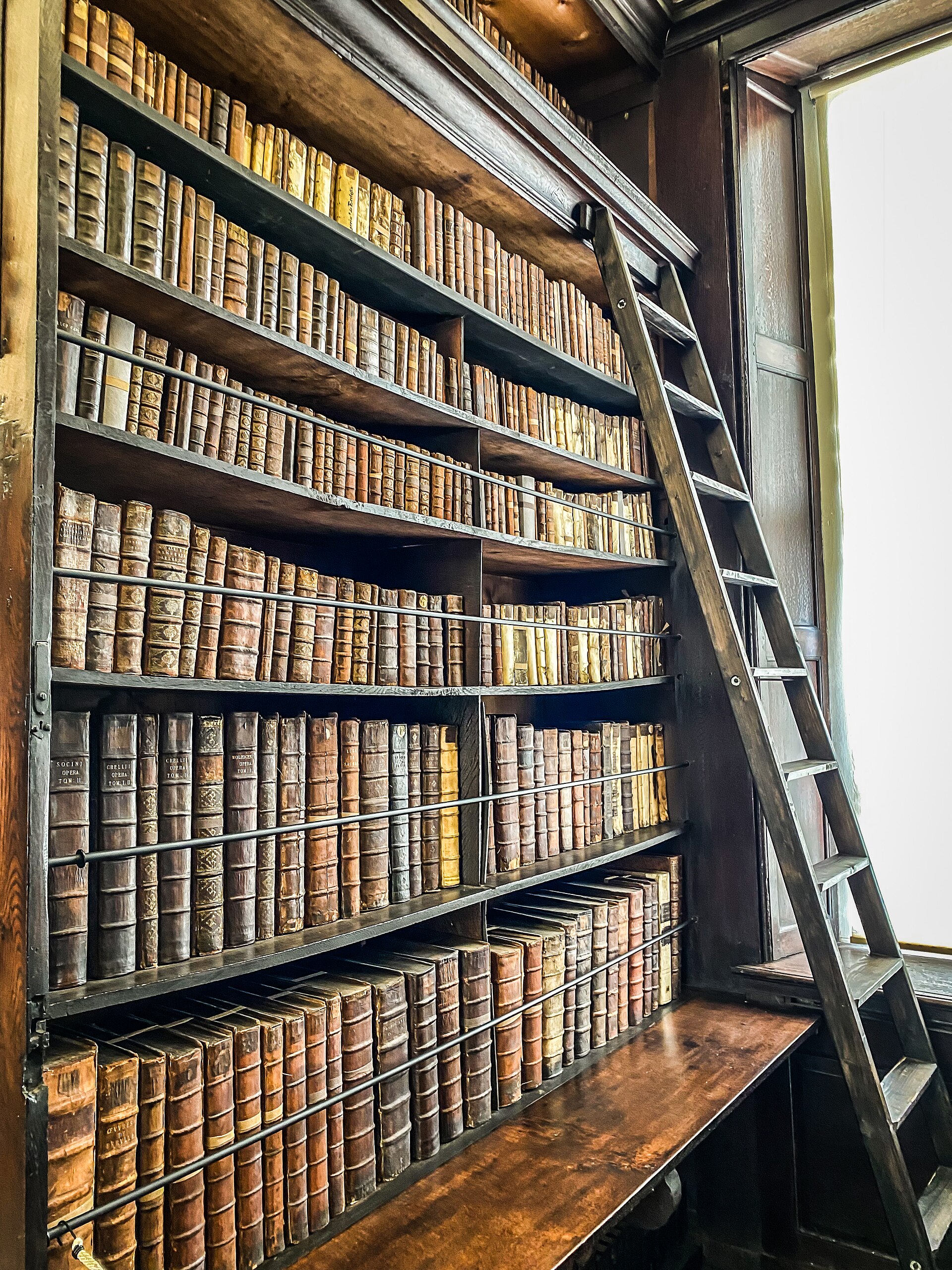 Leather-bound books fill wooden shelves beside a ladder and window inside Marsh's Library in Dublin.