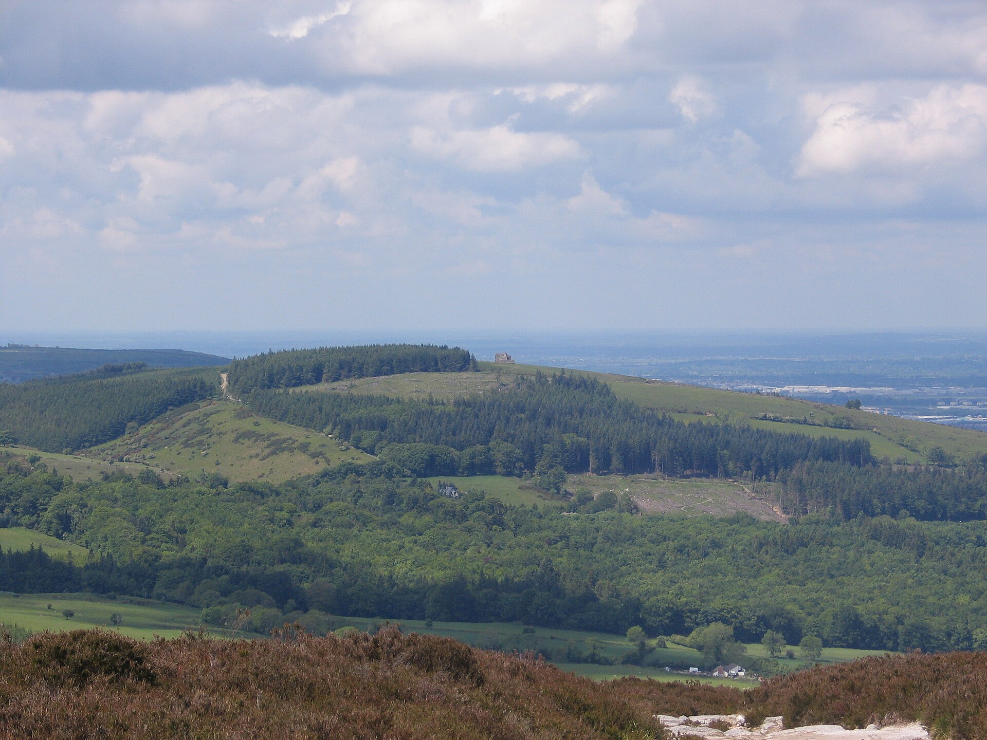 Montpelier Hill rises above wooded slopes, with the Hellfire Club ruin visible on its open summit.