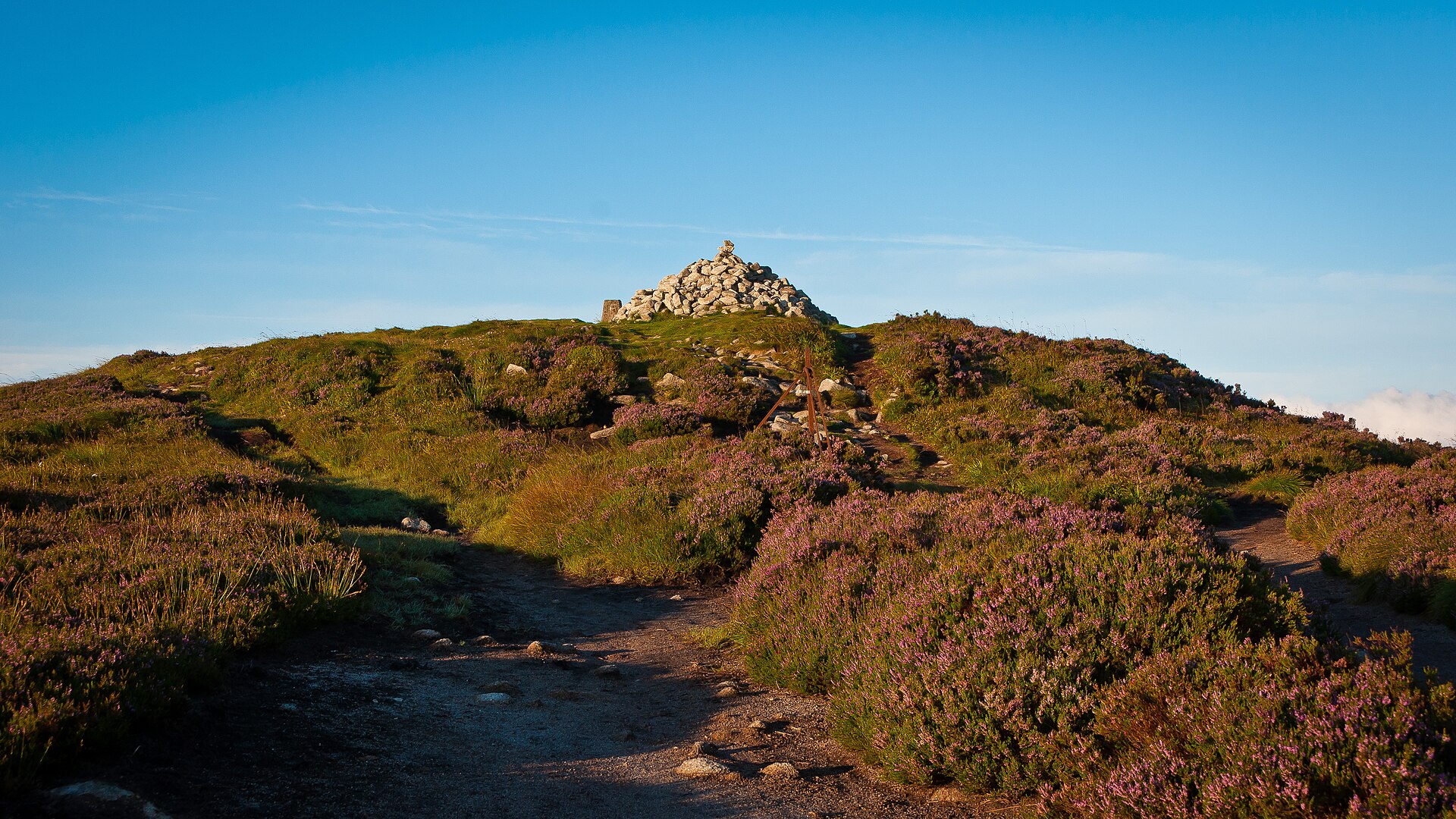 A rocky path climbs through purple heather to the Fairy Castle cairn on Two Rock Mountain near Dublin.