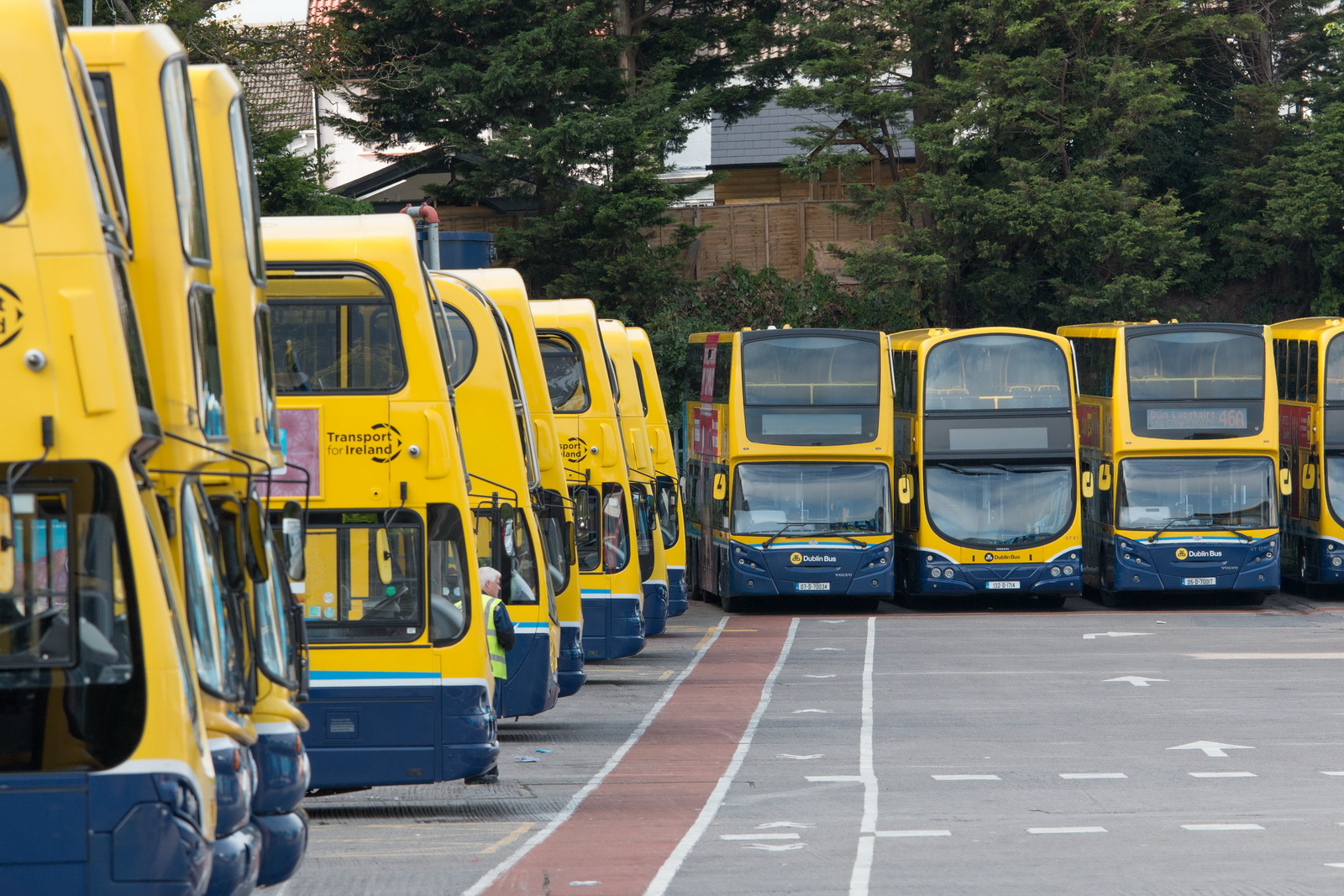 Rows of yellow and blue Dublin Bus double-deckers stand parked in a depot, facing towards a central lane.
