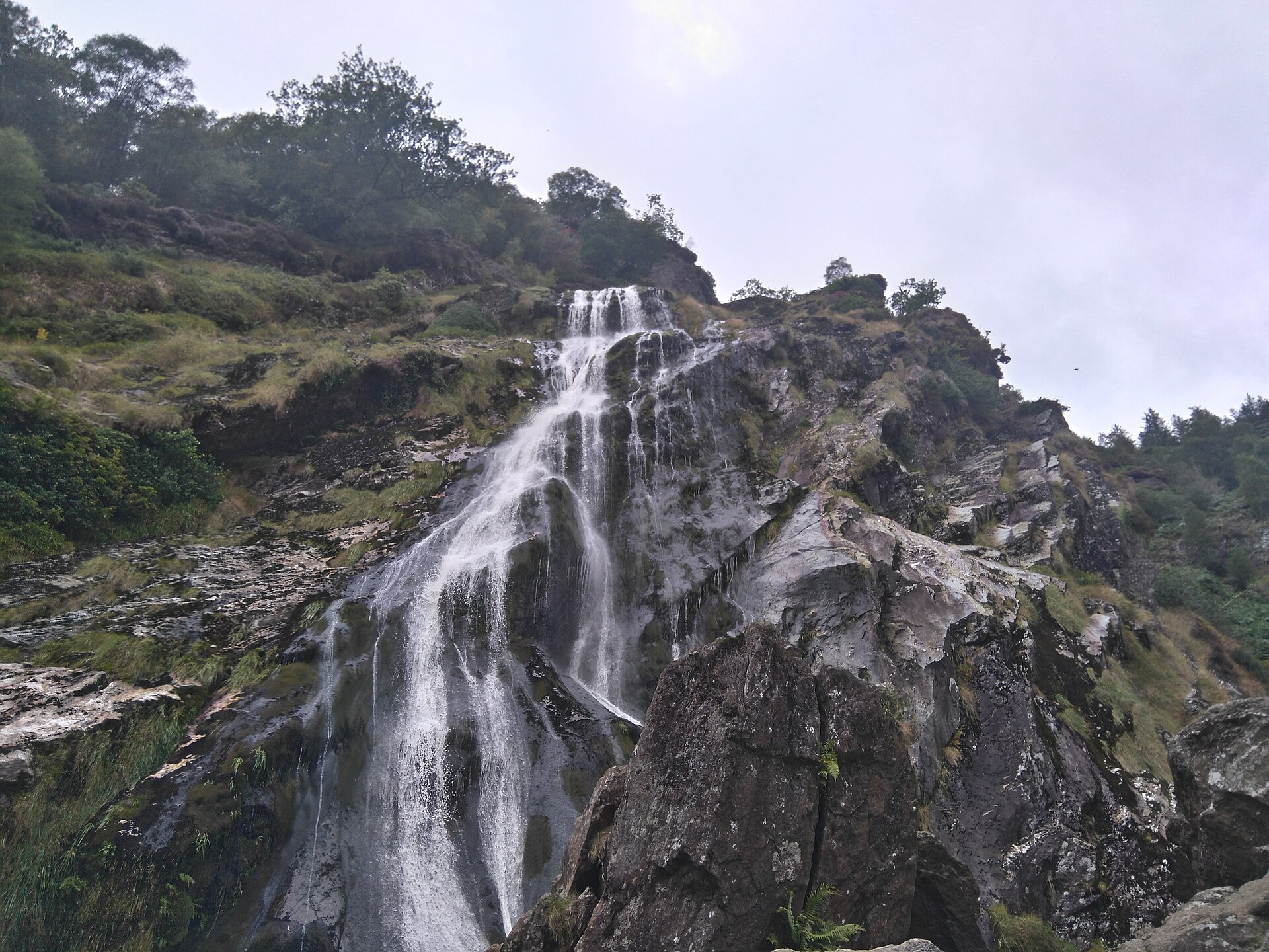 White water fans over the dark rock face of Powerscourt Waterfall, with woodland along the top.