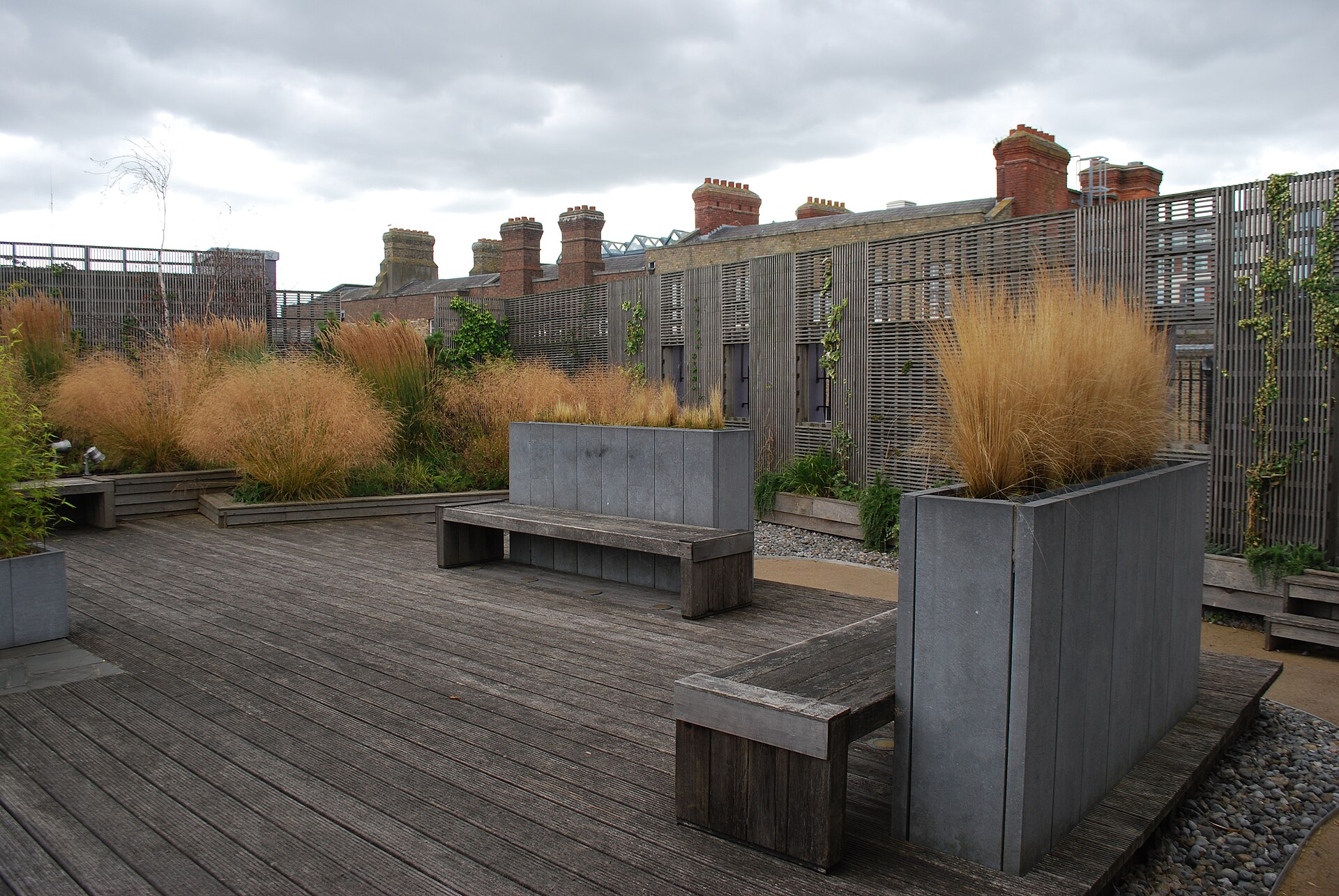Wooden benches and raised planters of grasses line the Chester Beatty roof garden in Dublin beneath an overcast sky.